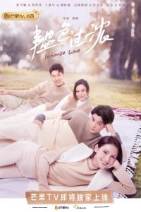 Download Intense Love Chinese Drama