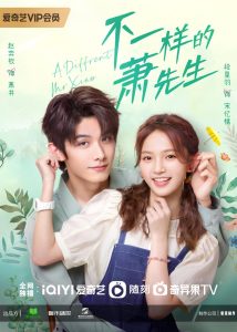 Download A Different Mr Xiao Chinese Drama