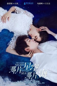 Read more about the article The Starry Night The Starry Sea (Complete) | Chinese Drama