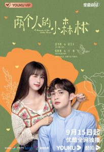 Read more about the article A Romance of the Little Forest (Complete) | Chinese Drama