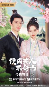 Download Hard Noble Lady Chinese Drama