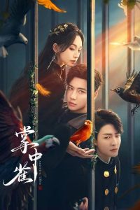 download sadistic love chinese drama