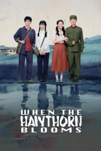 downlaod when the hawthron blooms chinese drama