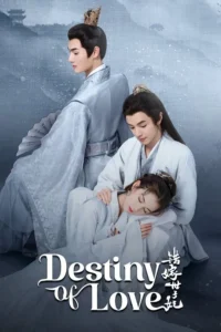 download destiny of love chinese drama