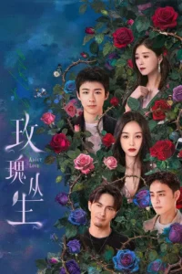 download About Love Chinese drama