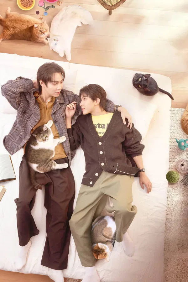 Read more about the article Cat for Cash S01 (Episode 01 -04) | Thai Drama