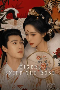 Download Tigers Sniff the Rose (2026) Chinese Drama series
